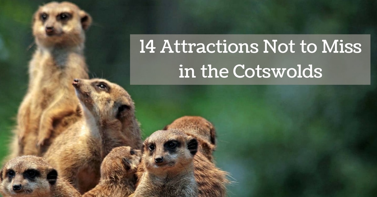 14 Attractions Not to Miss in the Cotswolds