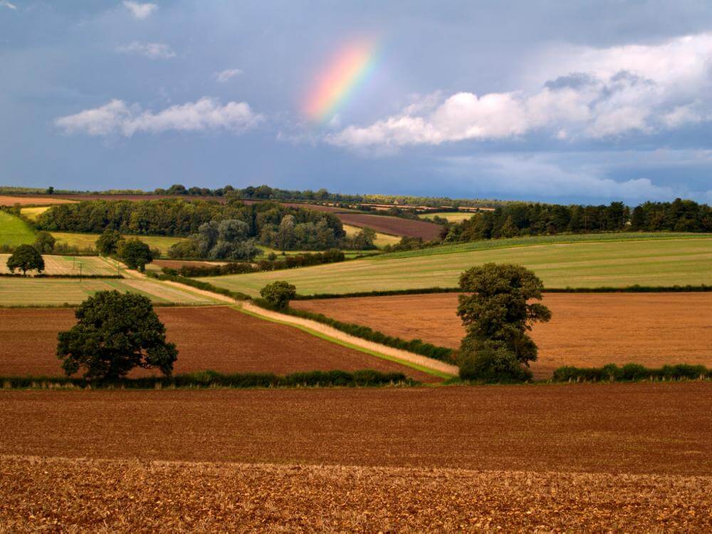 Rainbow over Fields