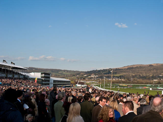 Fans watching cheltenham at the finish line