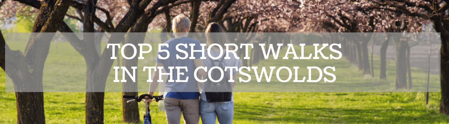 Top 5 Short Walks in the Cotswolds