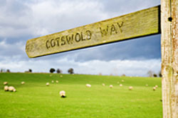 Summer in the Cotswolds Blog Image 2