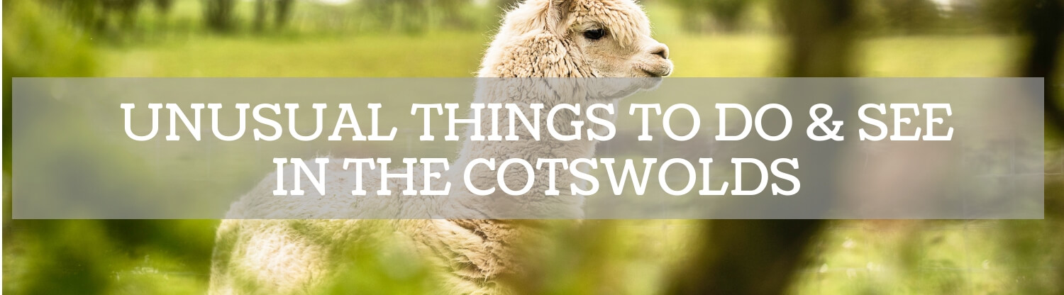 UNUSUAL THINGS TO DO AND SEE IN THE COTSWOLDS 1