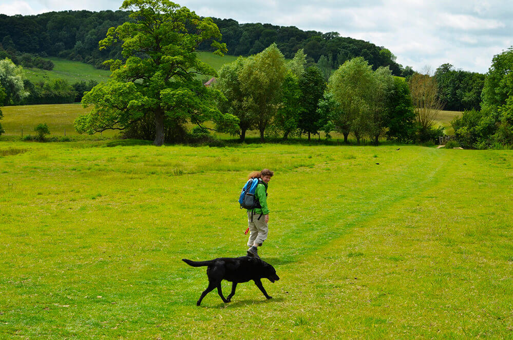 dog walkig in the Cotswolds