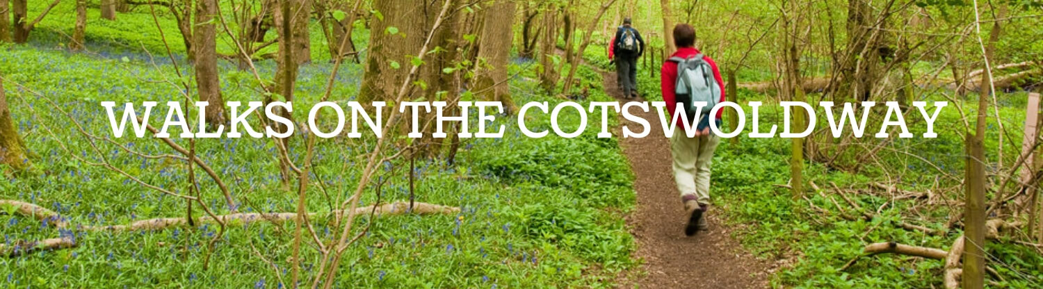walks on the cotswold way